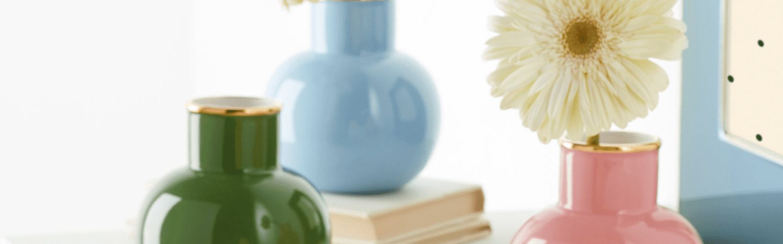 collection-banner-image